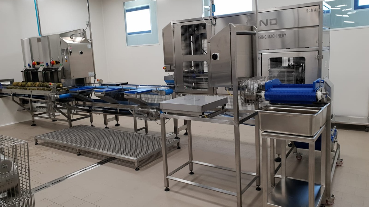 Eficiencia y precisión en el procesado de melón y piña para IV gama.jpg